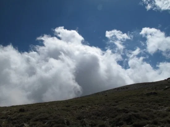 IMG_7117.JPG?type=w3