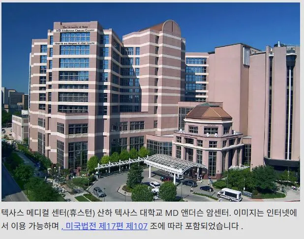 MD 앤더슨 2.JPG