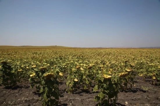 IMG_2490.JPG?type=w3