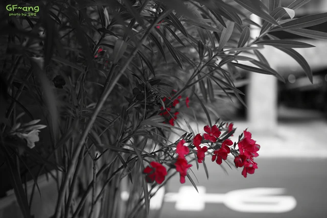 DSC06682.jpg?zoom=0.8999999761581421&resize=640%2C427