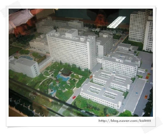 img_0291_1.jpg?type=w740