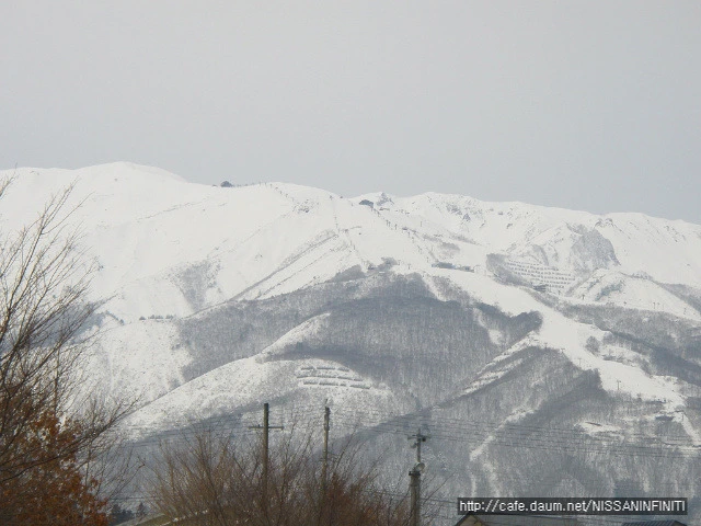 ?src=%22http%3A%2F%2Fpds54.cafe.daum.net%2Fimage%2F2%2Fcafe%2F2007%2F12%2F30%2F22%2F35%2F47779d858b938%22&type=m10000_10000