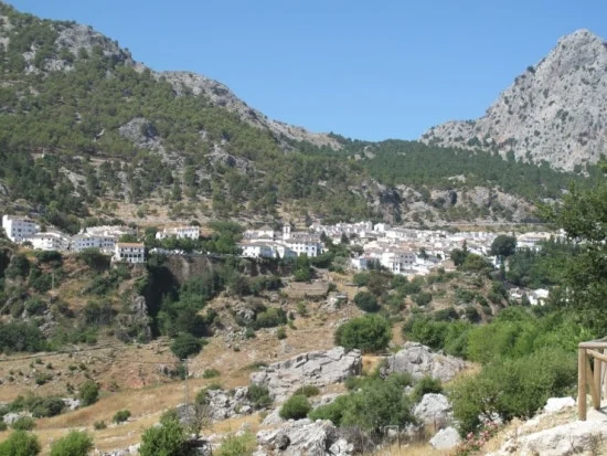 IMG_7181.JPG?type=w3