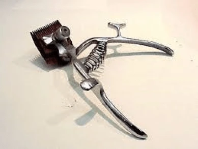 untitled.png?resize=389%2C293