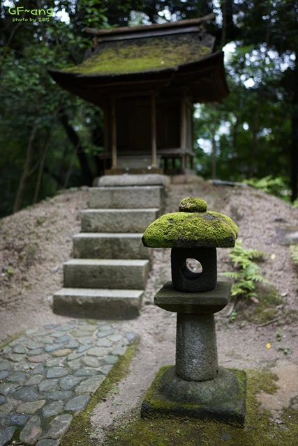 DSC06826.jpg?zoom=0.8999999761581421&resize=427%2C640