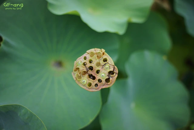 DSC06768.jpg?zoom=0.8999999761581421&resize=640%2C427