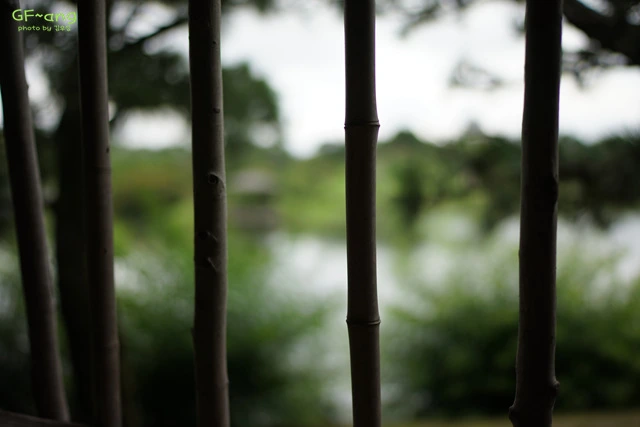 DSC06787.jpg?zoom=0.8999999761581421&resize=640%2C427