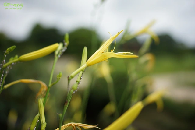 DSC06756.jpg?zoom=0.8999999761581421&resize=640%2C427