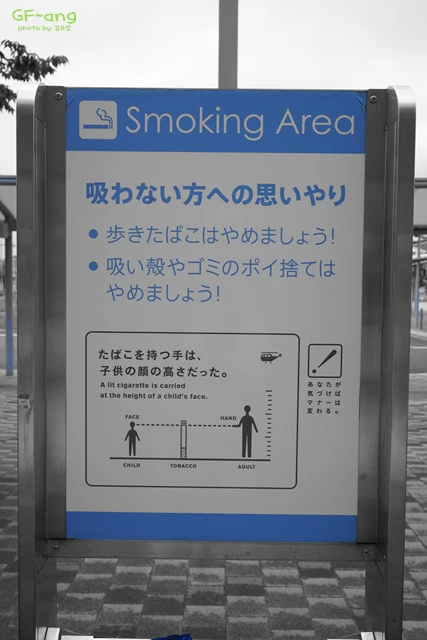 DSC06729.jpg?zoom=0.8999999761581421&resize=427%2C640