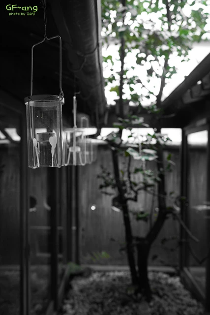 DSC066481.jpg?zoom=0.8999999761581421&resize=427%2C640