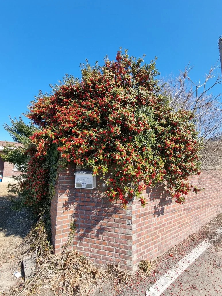 20220203_134807.jpg?type=w773