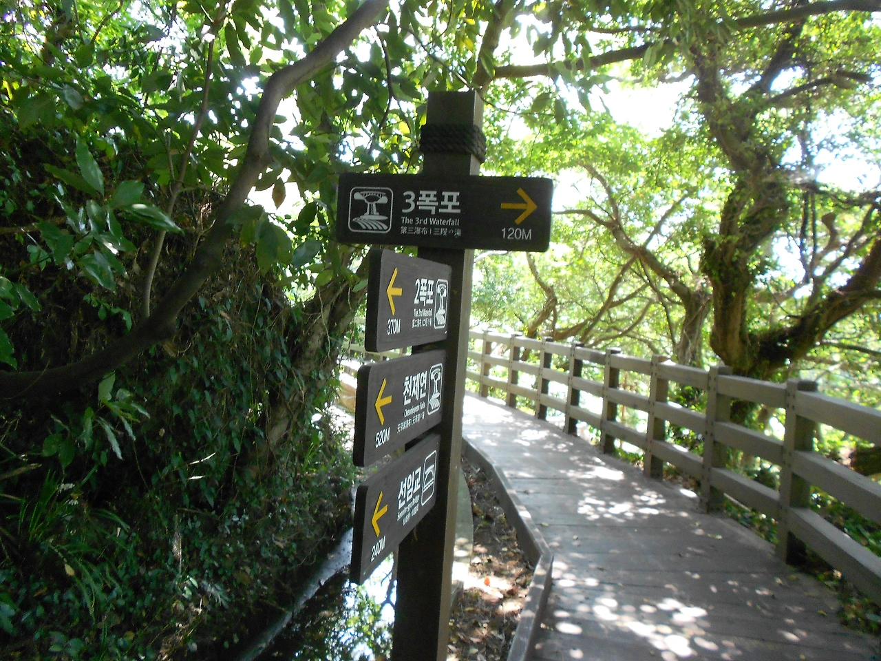 천제연제3폭포가는길.JPG