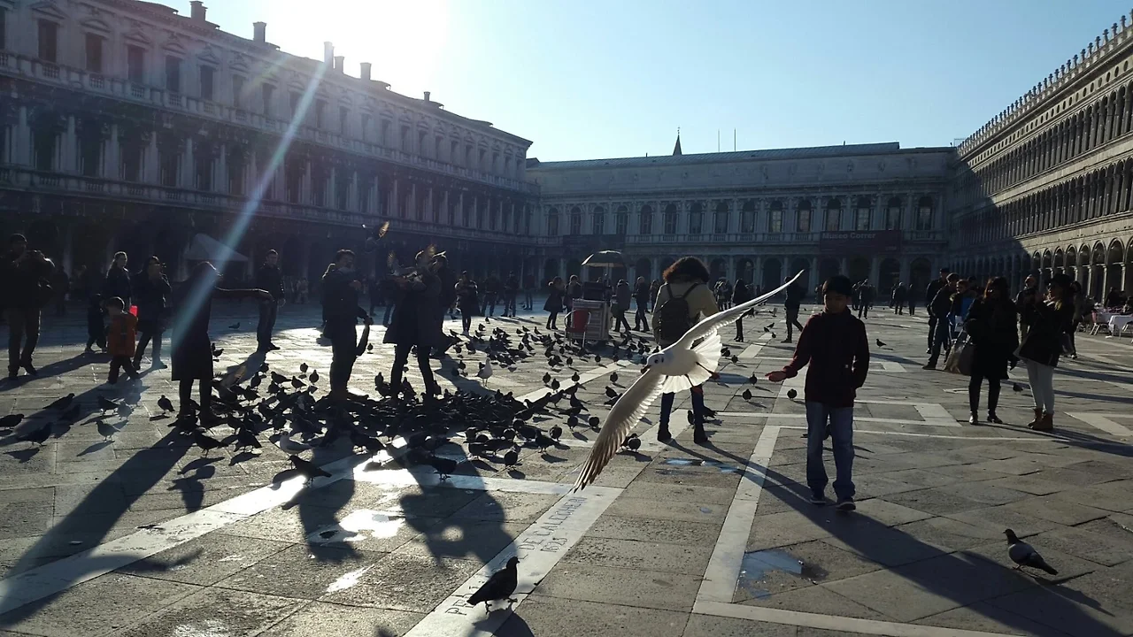 img.jpg?convert=1080x*