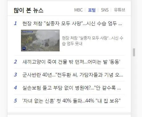 많이 본 뉴스.JPG