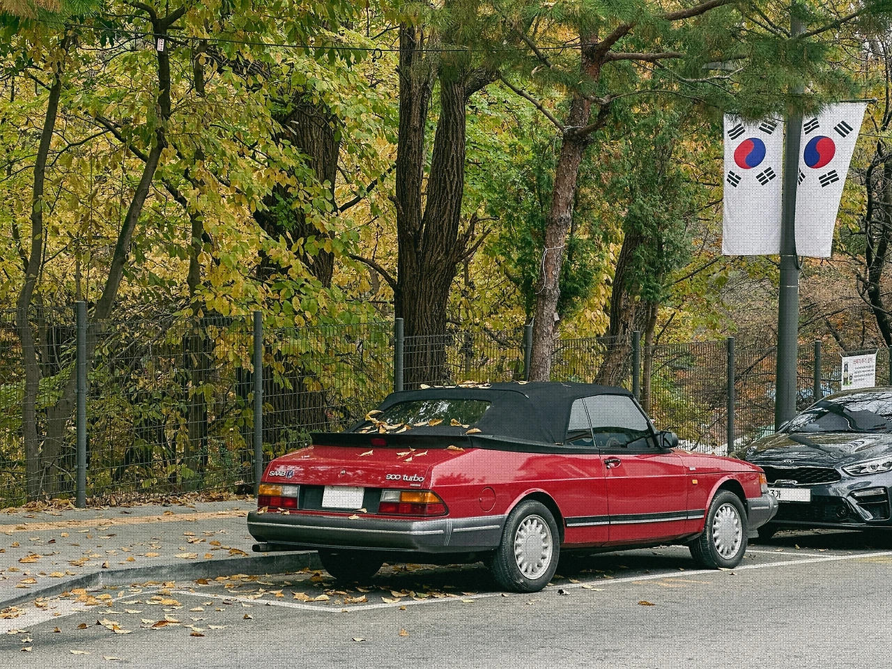 #autumn #17 IMG_3163_.JPG