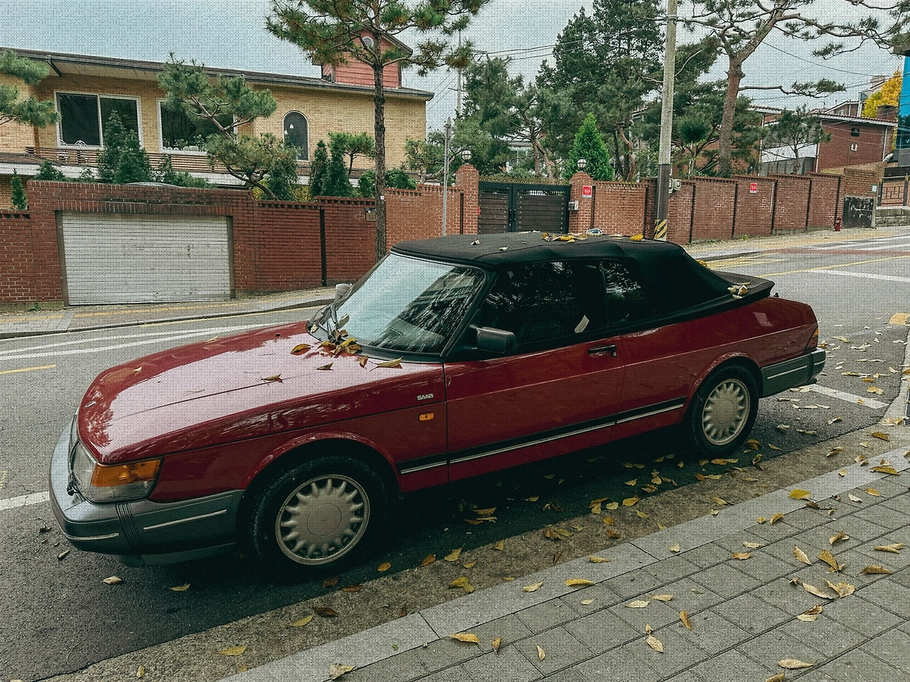 #autumn #17 IMG_3165.JPG