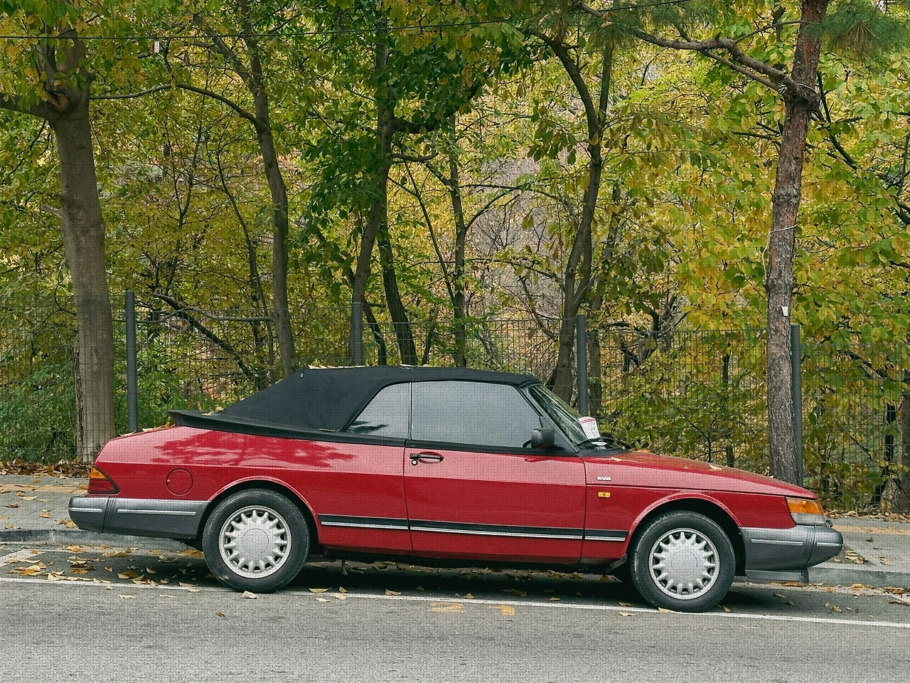 #autumn #17 IMG_3164.JPG