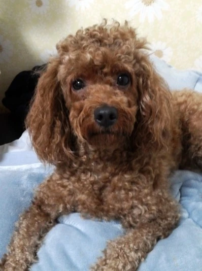 20150906_1154443.jpg?type=w2