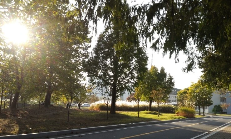 20151017_1621299.jpg?type=w2