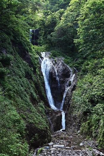0009.jpg 봉래폭포에서 내려오는 물은 울릉읍민의 상수원이다..JPG
