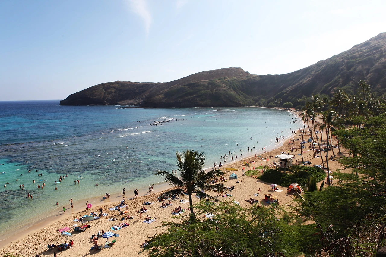 0008.jpg. 하나우마베이의 바다속은 멀리서도 다 보인다..JPG