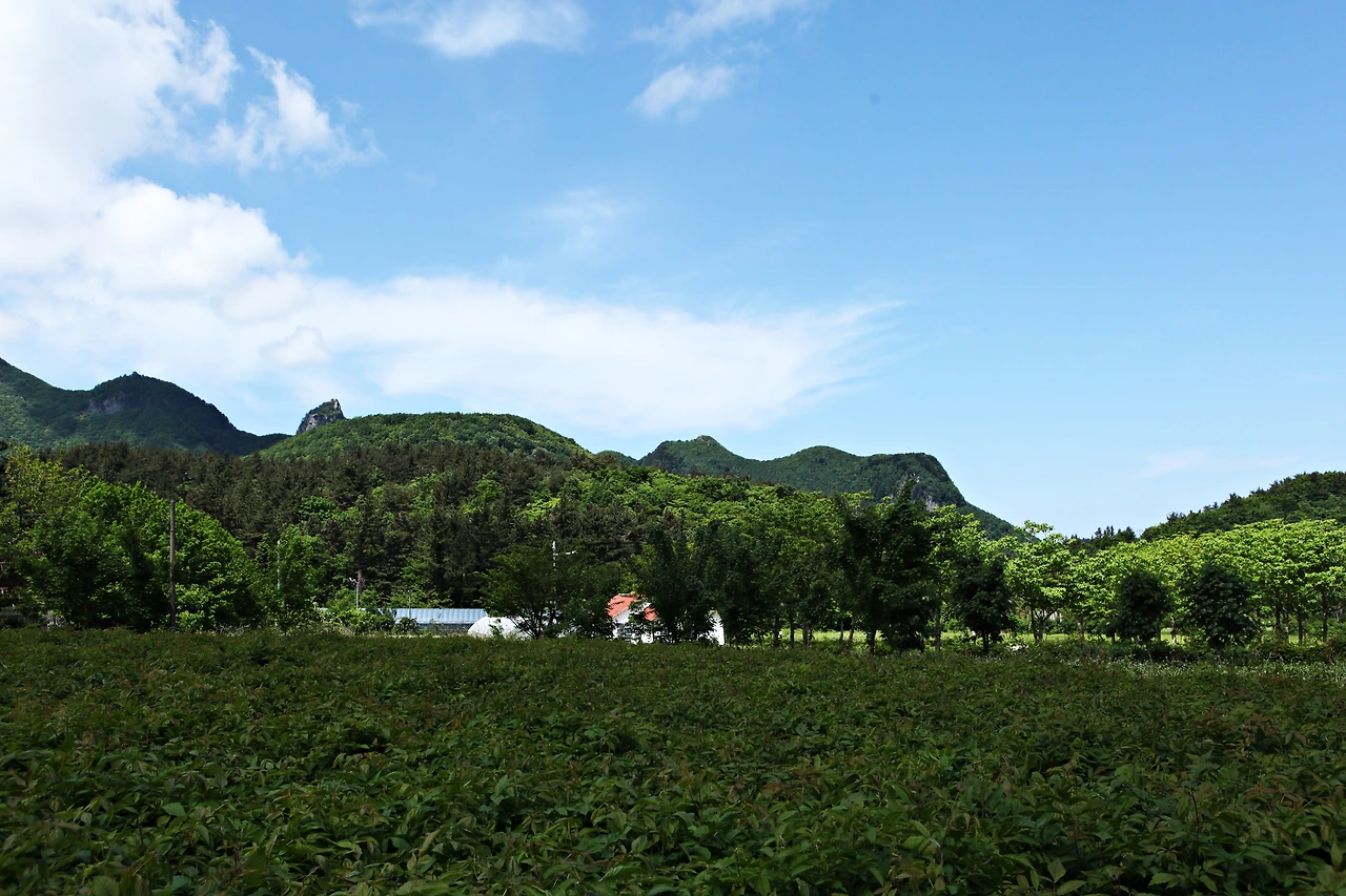 0010.jpg 평평한 나리분지에 가면 맘도 편안해진다..JPG