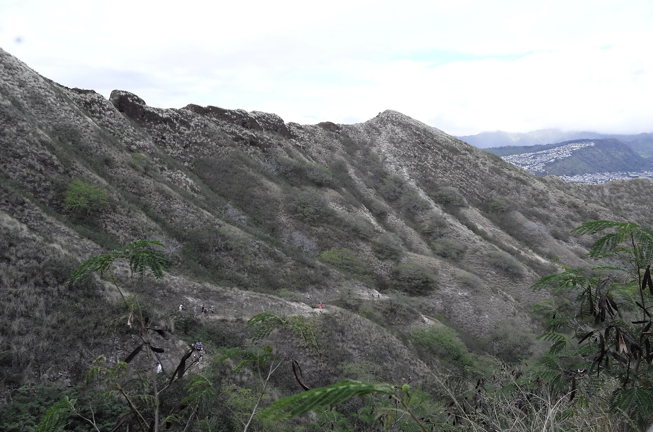 0011.jpg 다이아몬드헤드 능선이 아름답다..JPG