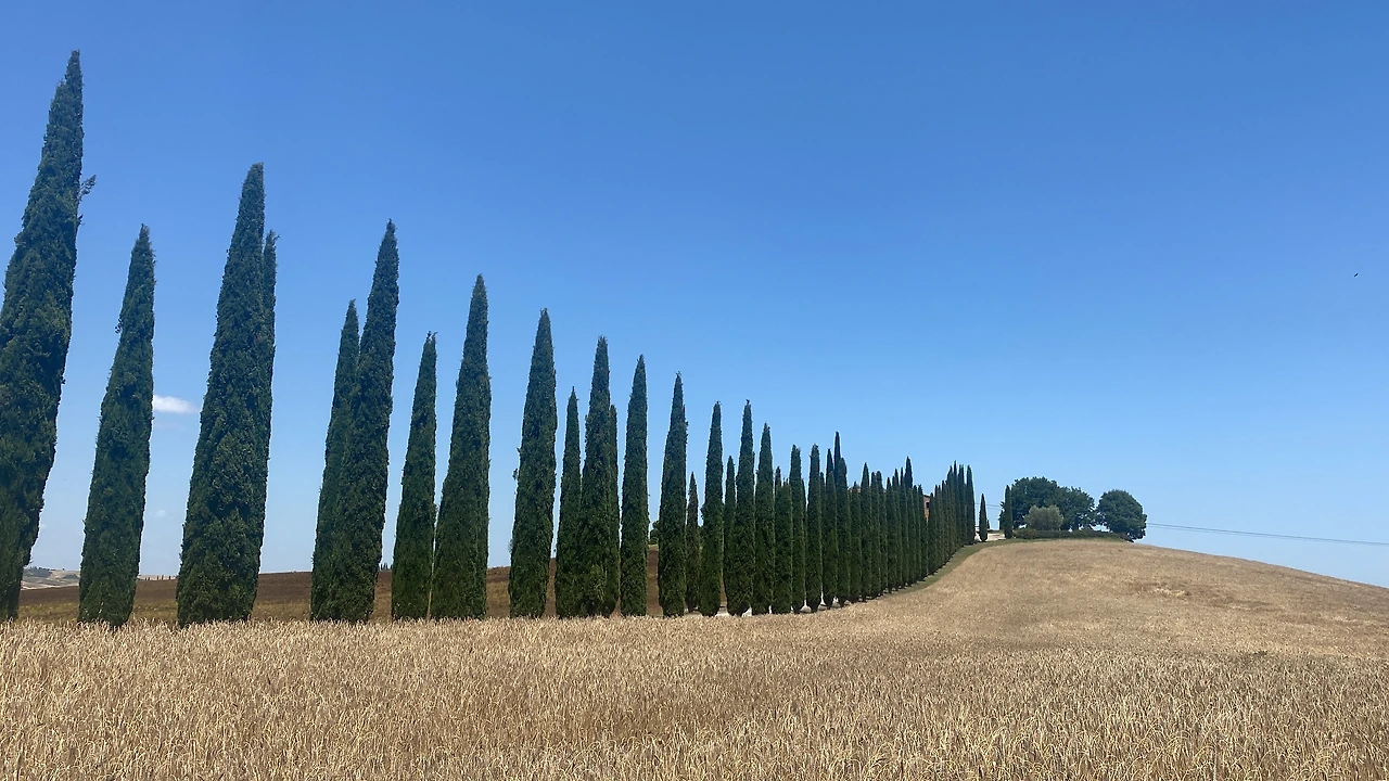 P20240713_131441911_D2AEB6ED-9A0B-4A00-B8FE-A5BB2435DCAD (1).JPG