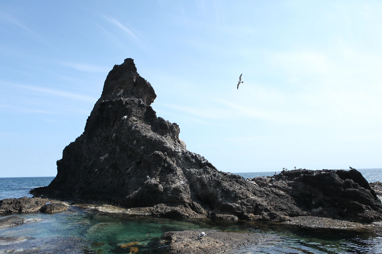 0003.jpg 동도의 부채바위, 남쪽에서 바라보면 마치 부채를 펼친 것 같다고 한다..JPG