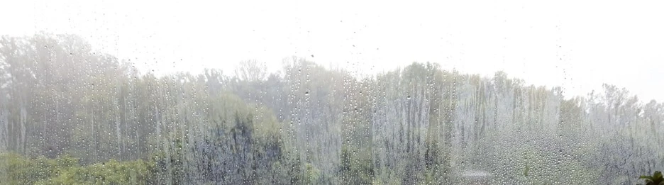 SE-87bddd40-04d7-46c8-88a3-8122e581c6c4.jpg?type=w1