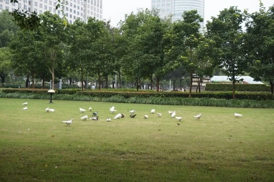 10_%C0%CE%B9%CE%B0%F8%BF%F8_%BB%F3%C7%D8_%BB%F3%C7%CF%C0%CC_%B9%DA%B9%B0%B0%FC_%BA%F1%B5%D1%B1%E2_1.JPG?type=w1