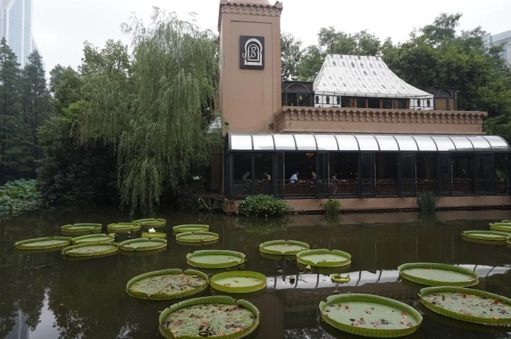 08_%C0%CE%B9%CE%B0%F8%BF%F8_%BB%F3%C7%D8_%BB%F3%C7%CF%C0%CC_1.JPG?type=w1