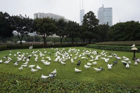 10_%C0%CE%B9%CE%B0%F8%BF%F8_%BB%F3%C7%D8_%BB%F3%C7%CF%C0%CC_%B9%DA%B9%B0%B0%FC_%BA%F1%B5%D1%B1%E2_2.JPG?type=w1