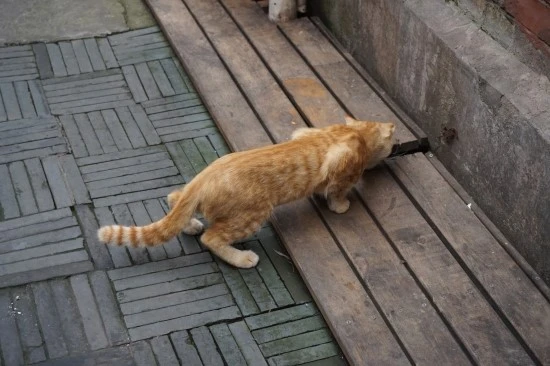 09_%BB%F3%C7%D8_%C0%DA%C0%AF%BF%A9%C7%E0_%C5%B8%C0%CC%C4%B2%B7%E7_%BF%B9%BC%FA%C0%CE%B4%DC%C1%F6_%C6%BC%BF%A3%C1%EE%C6%CE_%C6%BC%BF%A3%C1%EE%B9%E6_6.JPG?type=w1