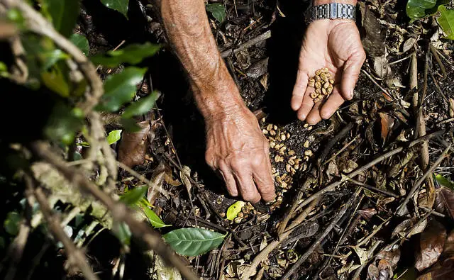 2269D84D51A6178F2D4D77