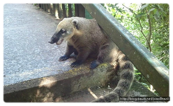 1656C6494FDF575616D1A4