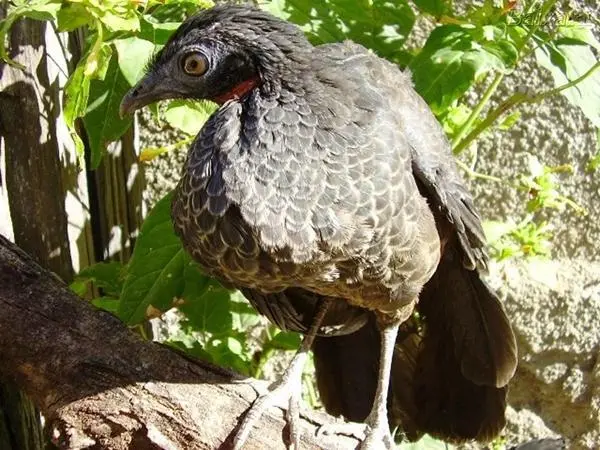 22748F3C5196482A1006CC