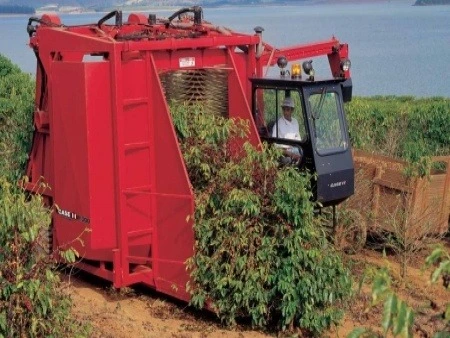 2121E24951A60C4B33F7DD