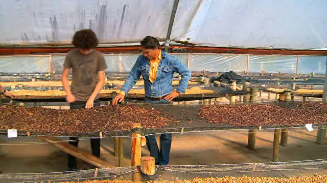 2464373C5196482425D810