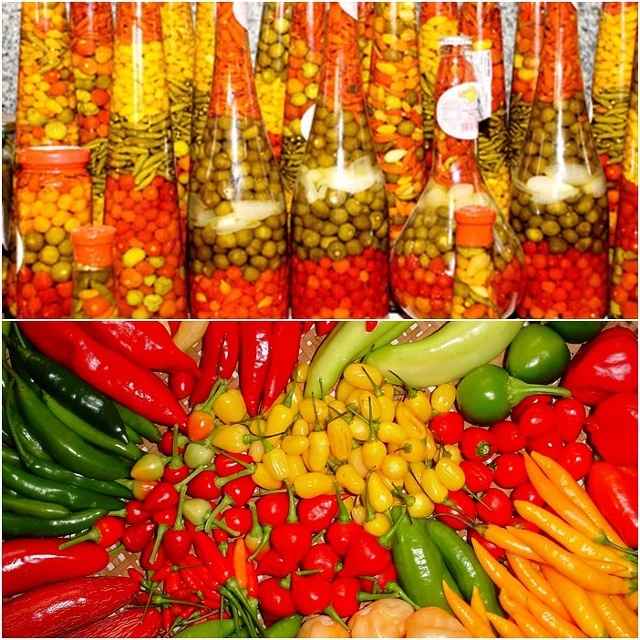 251F103954BC4D5007BB58