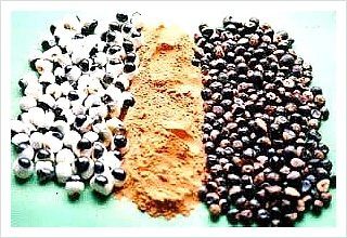 177B6D41502CFC3C03ED2F