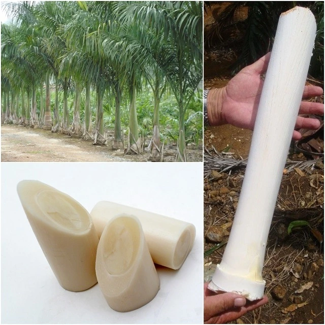 2610813954BC4D471F4E10