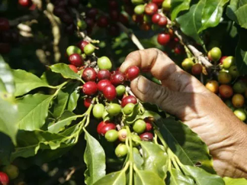 2747EB3C519F71C3201DD4