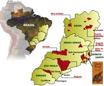 220DFD34519648372FFFEA