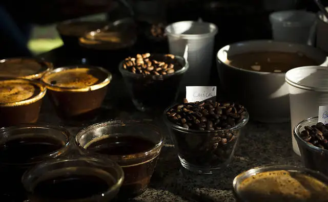 036EA34D51A6178C2AA6C5