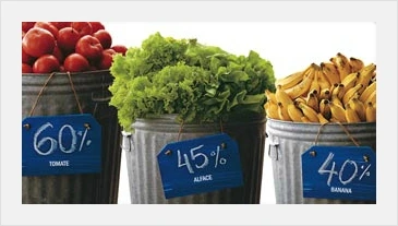 1944E1404F6DE22801260D