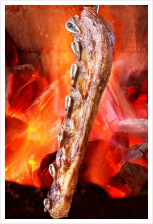 124B1A4A4F82E535114E43