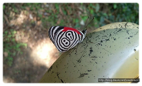 1926694B4FDF5719141983