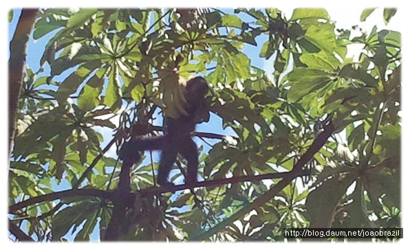 1225E54B4FDF5747163AC2