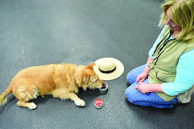 %EC%B2%9C%EC%9E%AC%EA%B0%9C4.jpg?type=w966